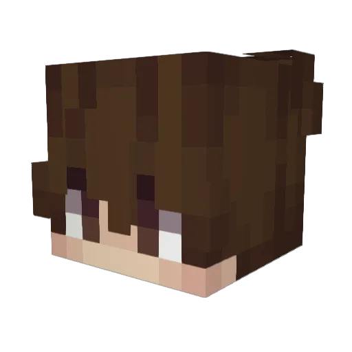 Novaxblade Minecraft avatar head, 3D render