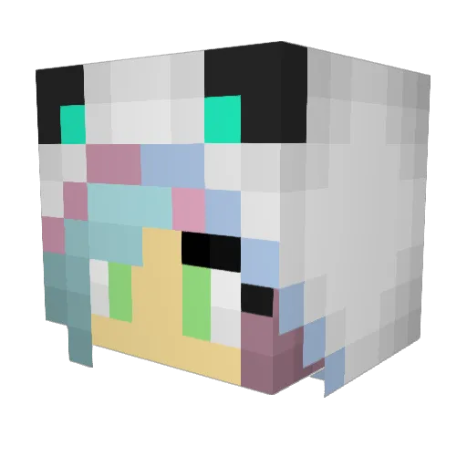 NoveCod Minecraft avatar head, 3D render