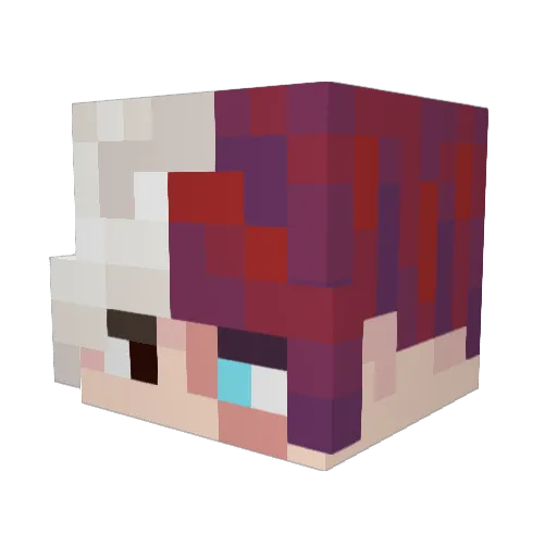 NovelFergus Minecraft avatar head, 3D render