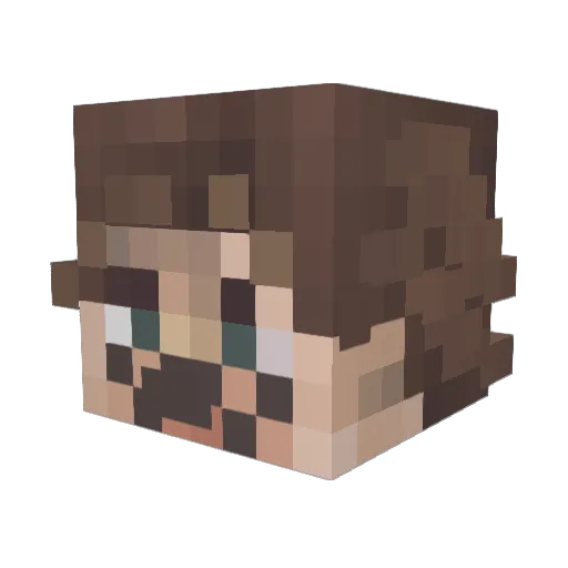 NovelTarsier Minecraft avatar head, 3D render