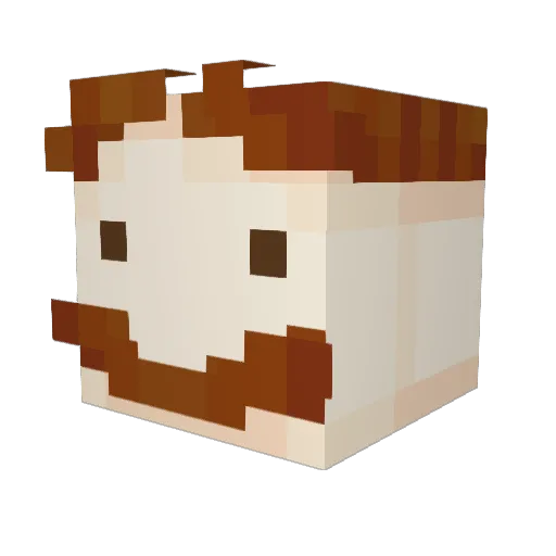 Novella20 Minecraft avatar head, 3D render