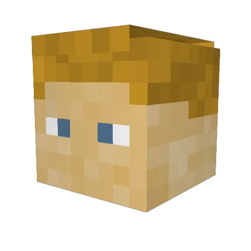 Nover_T Minecraft avatar head, 3D render