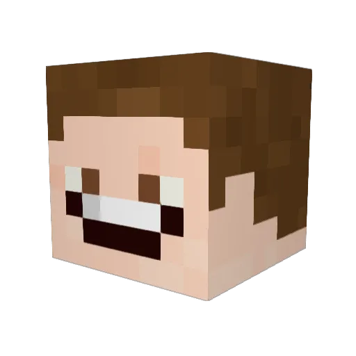 Novez Minecraft avatar head, 3D render