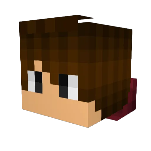 NoviTo Minecraft avatar head, 3D render