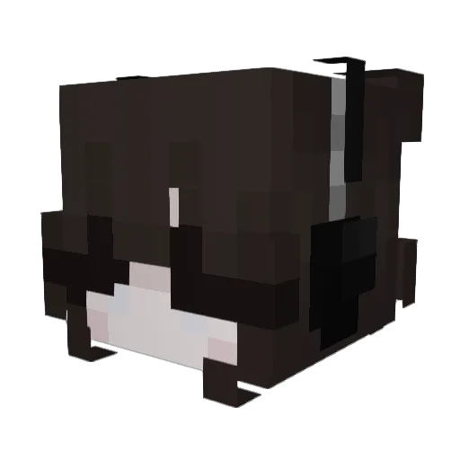 NoviceEvie Minecraft avatar head, 3D render