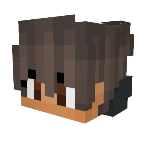 NoviceGameplay Minecraft avatar head, 3D render