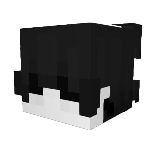 Novice_pvp Minecraft avatar head, 3D render