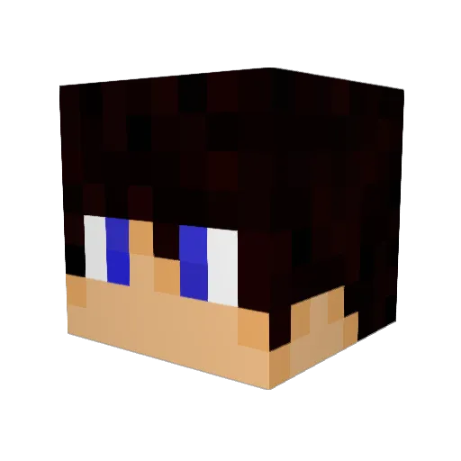 Novich54 Minecraft avatar head, 3D render