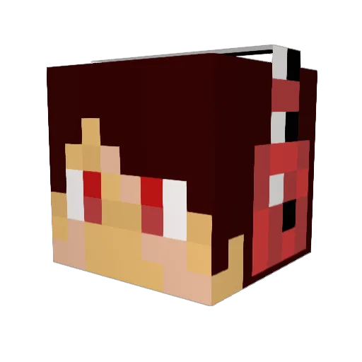 Novicook Minecraft avatar head, 3D render