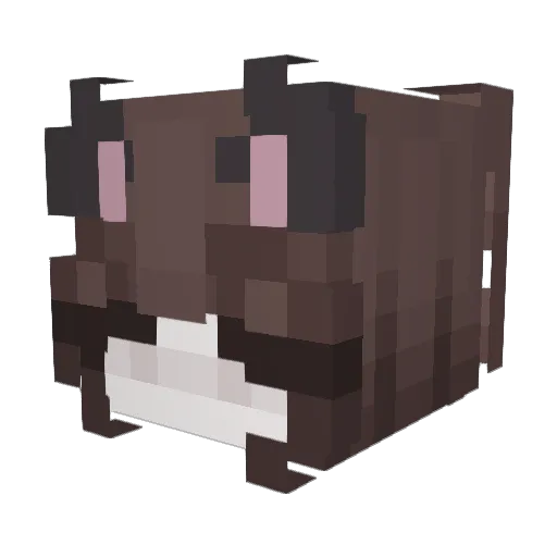 Novicta Minecraft avatar head, 3D render