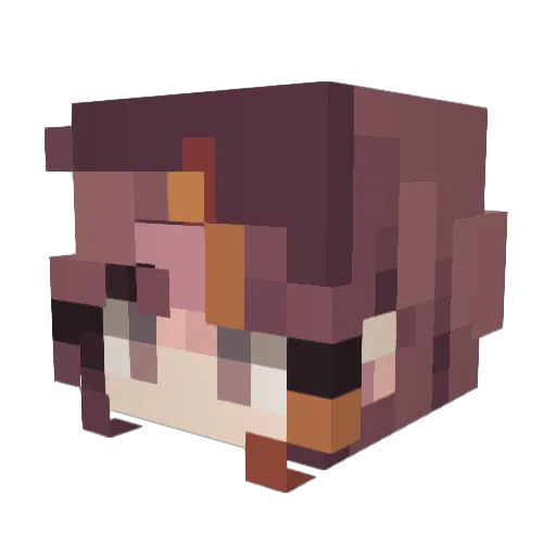 Noviko_ Minecraft avatar head, 3D render