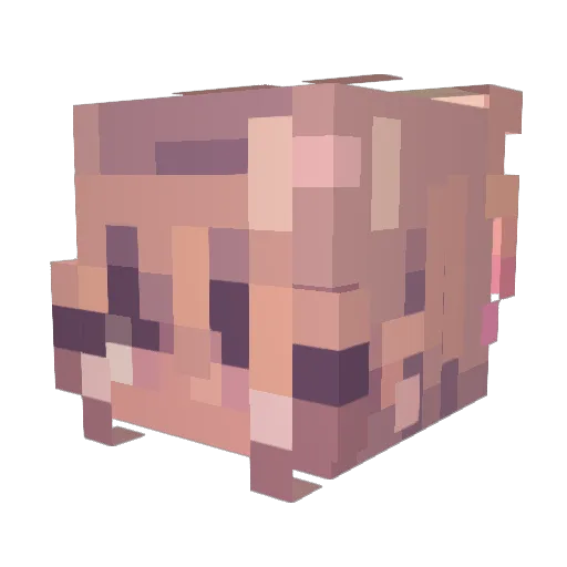 Novinozen Minecraft avatar head, 3D render