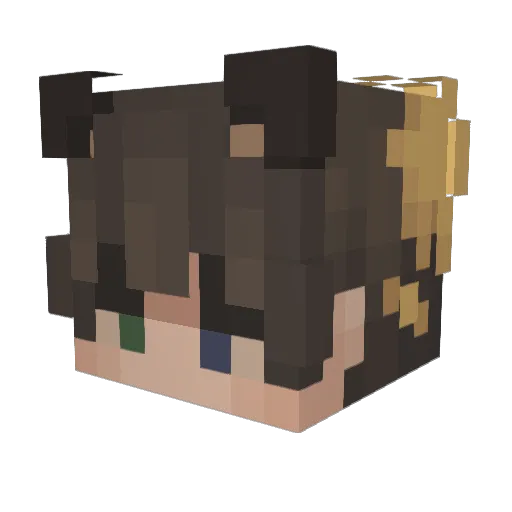 NoviodeGisele Minecraft avatar head, 3D render