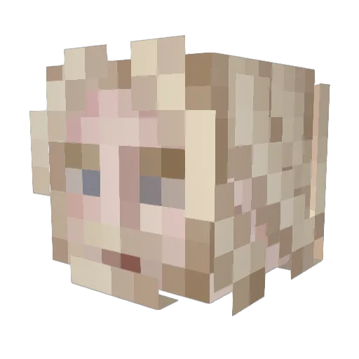 NovumChase Minecraft avatar head, 3D render