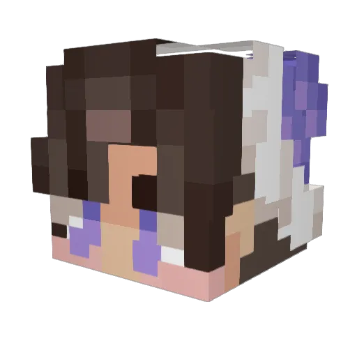 Novys Minecraft avatar head, 3D render