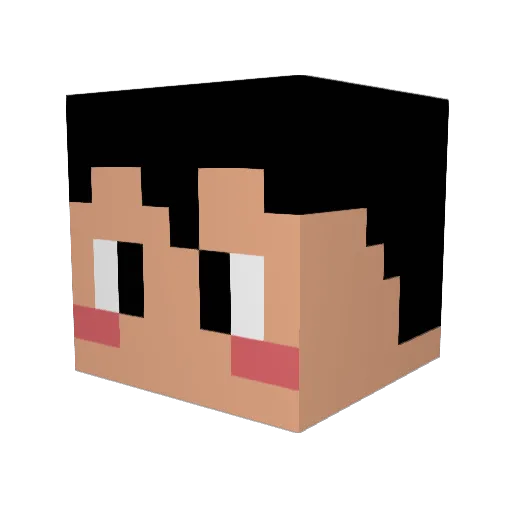 NowCircle Minecraft avatar head, 3D render