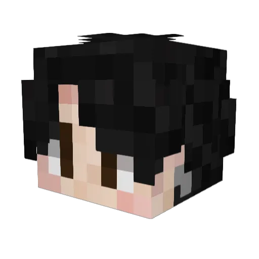 NowFenix Minecraft avatar head, 3D render