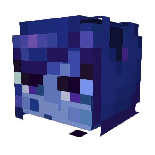 NowaDrukara Minecraft avatar head, 3D render