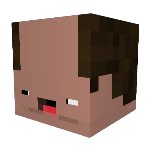 Noway4uSir Minecraft avatar head, 3D render