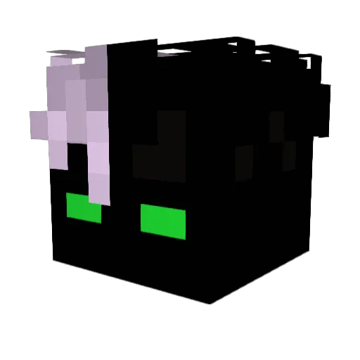 Nowhere1337 Minecraft avatar head, 3D render