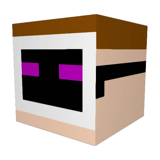 Nowhere2135 Minecraft avatar head, 3D render