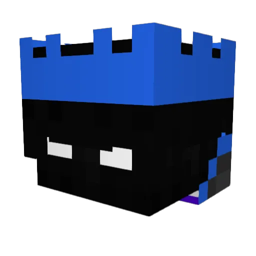 Nowhy96 Minecraft avatar head, 3D render