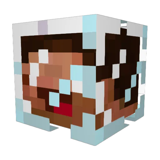 Nowialone Minecraft avatar head, 3D render