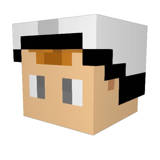 Nowicki1337 Minecraft avatar head, 3D render