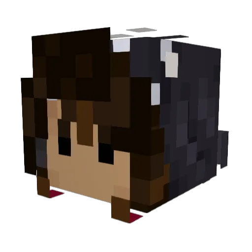 Nowiscream Minecraft avatar head, 3D render