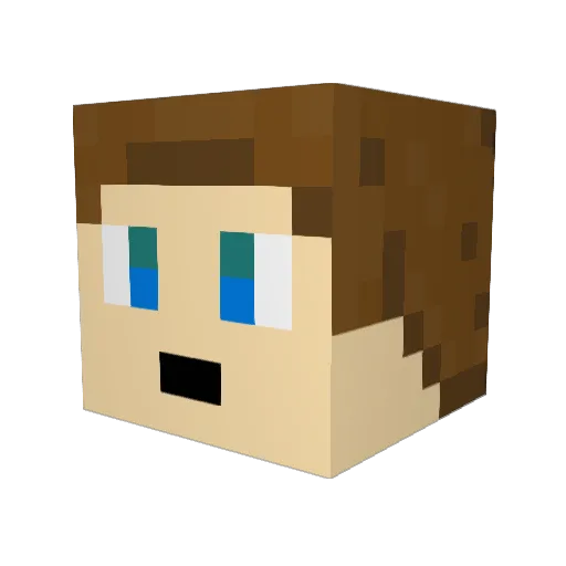 Nowitzki41 Minecraft avatar head, 3D render