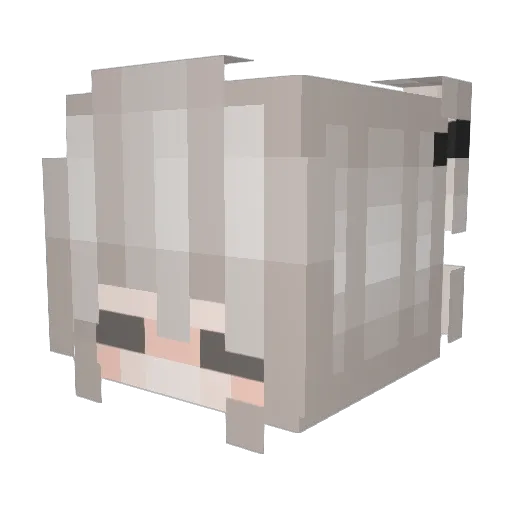 Nowodle Minecraft avatar head, 3D render