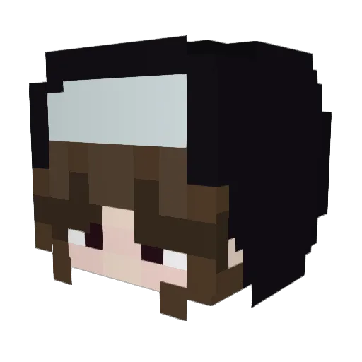 NowoneButMe Minecraft avatar head, 3D render