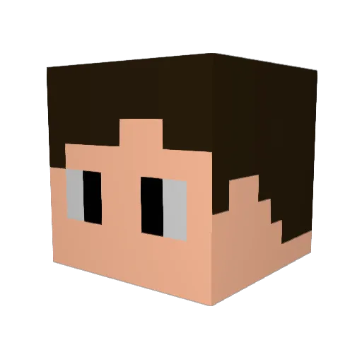 Nowster177 Minecraft avatar head, 3D render