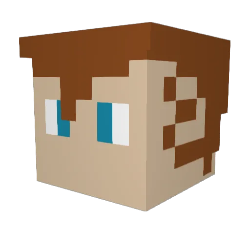 Nowy6711 Minecraft avatar head, 3D render