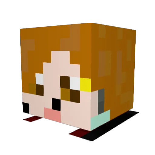 Nowyn Minecraft avatar head, 3D render