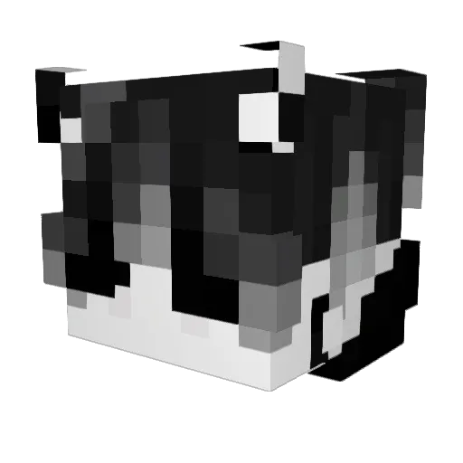NoxBxndit Minecraft avatar head, 3D render