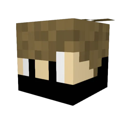 NoxIkki Minecraft avatar head, 3D render