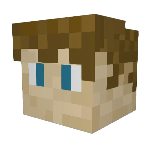 NoxVoids Minecraft avatar head, 3D render