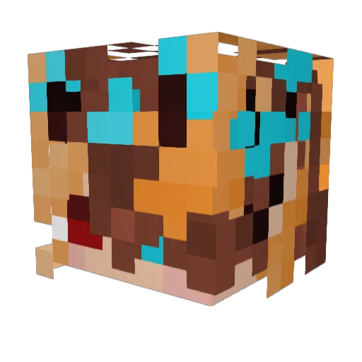 Nox_0_ Minecraft avatar head, 3D render
