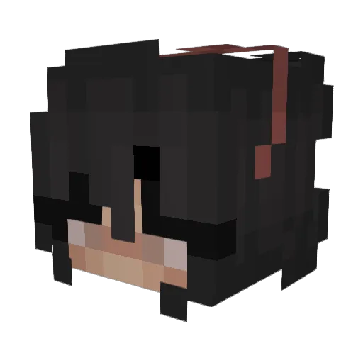 Nox_9 Minecraft avatar head, 3D render