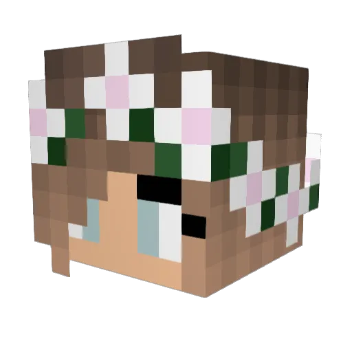 Nox_ Minecraft avatar head, 3D render