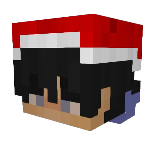Nox______ Minecraft avatar head, 3D render