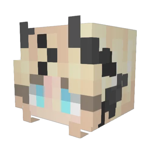 Noxafrigus Minecraft avatar head, 3D render