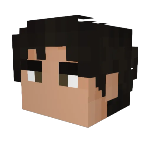 Noxchill Minecraft avatar head, 3D render
