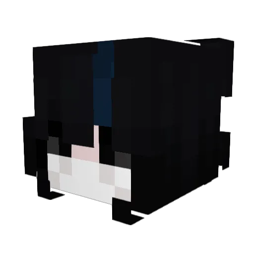 Noxide400 Minecraft avatar head, 3D render