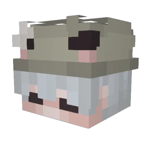 Noxieudt Minecraft avatar head, 3D render