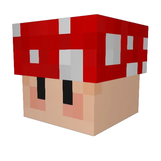 Noxiix Minecraft avatar head, 3D render