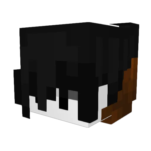 Noxilith Minecraft avatar head, 3D render