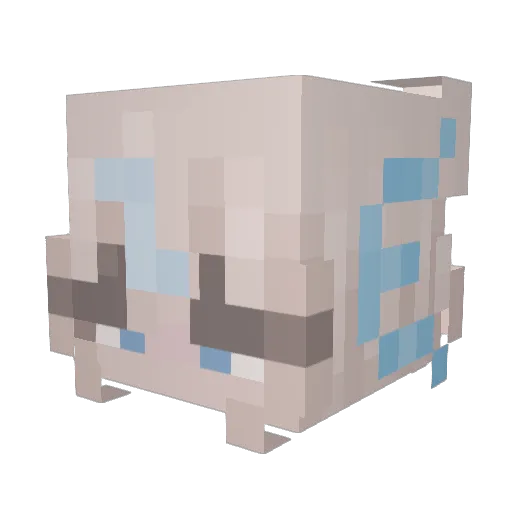 Noximie Minecraft avatar head, 3D render