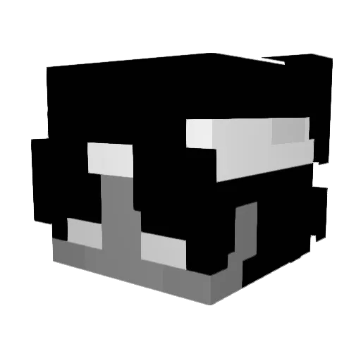 Noxin_YT Minecraft avatar head, 3D render